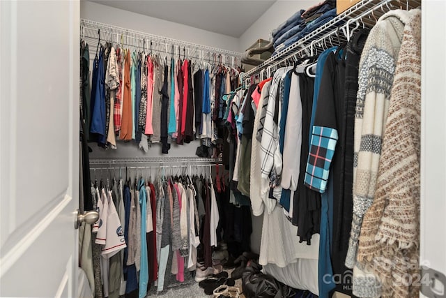 spacious closet with carpet floors