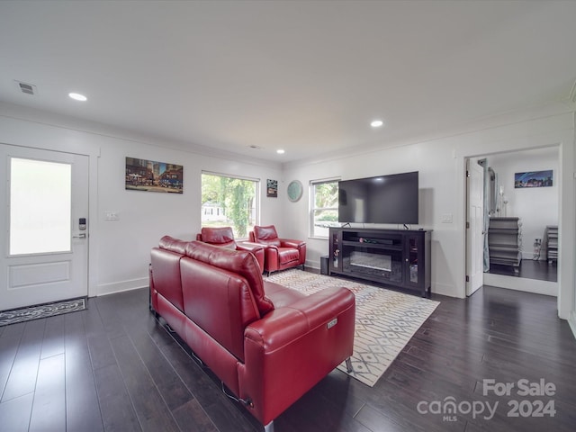 living room featuring ornamental molding and dark hardwood / wood-style flooring