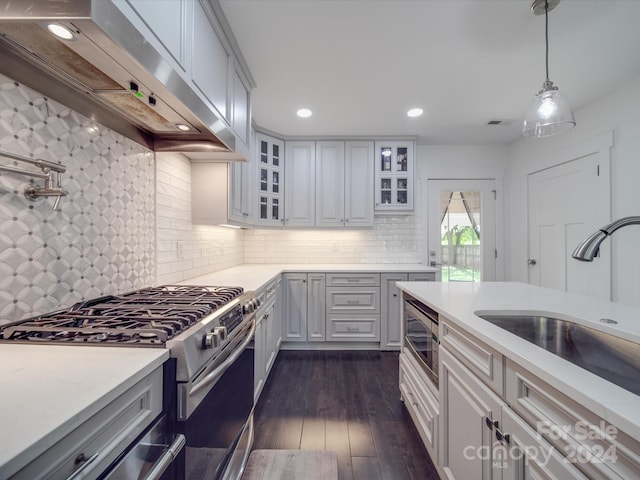 kitchen featuring tasteful backsplash, dark hardwood / wood-style flooring, sink, stainless steel appliances, and exhaust hood