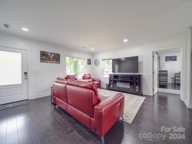 living room featuring dark hardwood / wood-style floors