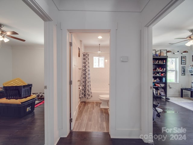 corridor with dark wood-type flooring