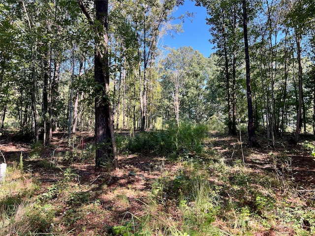 LOTS1-5 Evans Dr, Lancaster, SC 29720 - photo 2