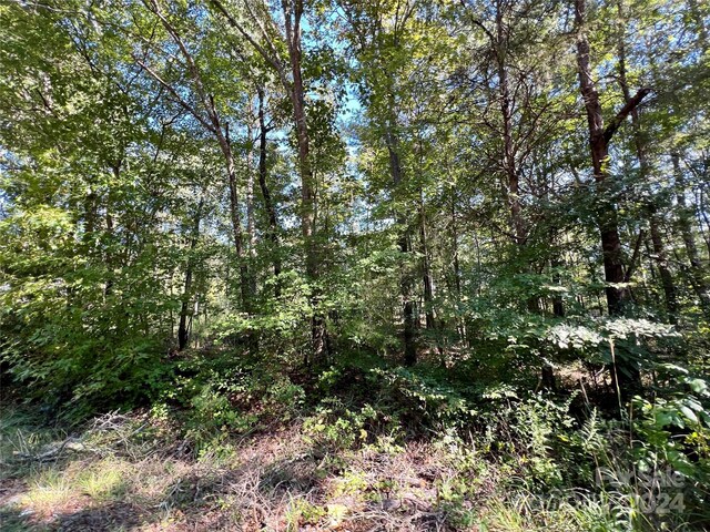 LOTS1-5 Evans Dr, Lancaster, SC 29720 - photo 7