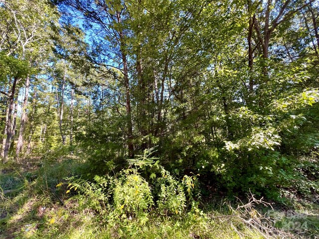 LOTS1-5 Evans Dr, Lancaster, SC 29720 - photo 8