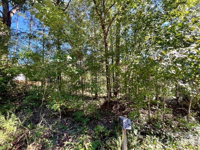 LOTS1-5 Evans Dr, Lancaster, SC 29720 - photo 12