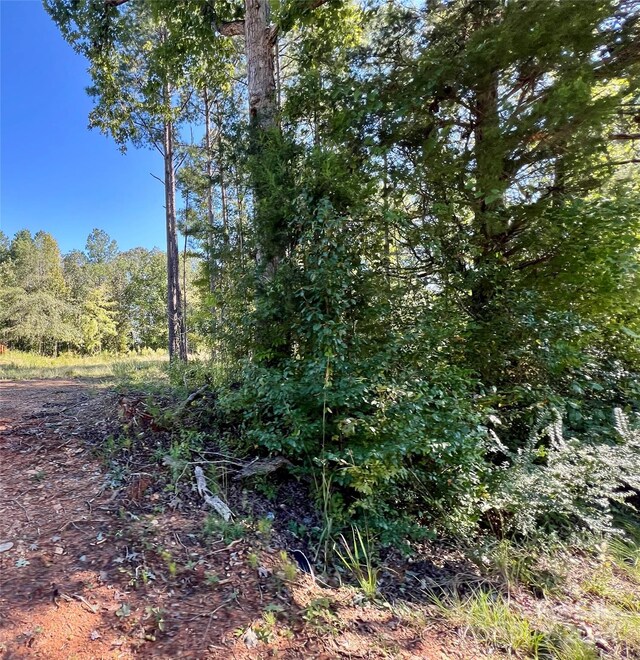 LOTS1-5 Evans Dr, Lancaster, SC 29720 - photo 14