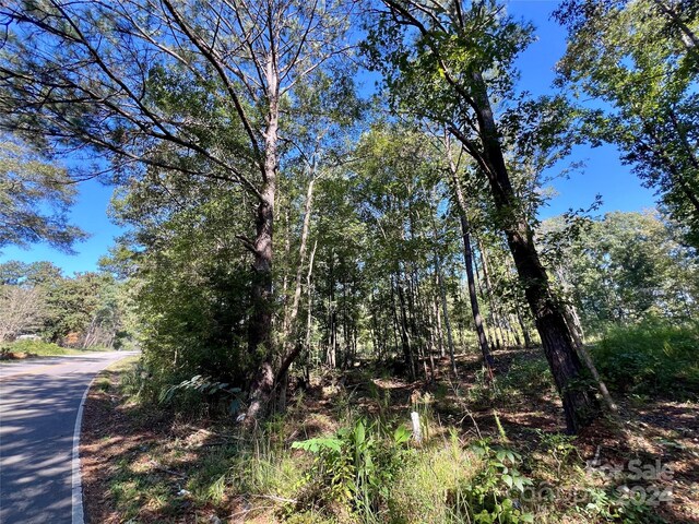 LOTS1-5 Evans Dr, Lancaster, SC 29720 - photo 19