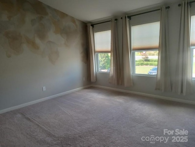 unfurnished room featuring carpet floors