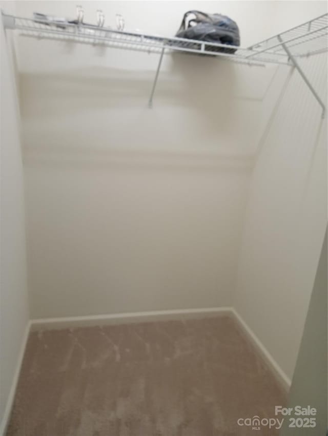 spacious closet featuring carpet flooring