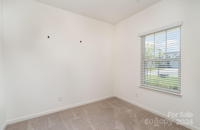 unfurnished room featuring carpet