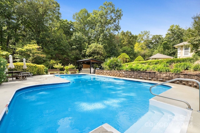 view of swimming pool featuring a patio