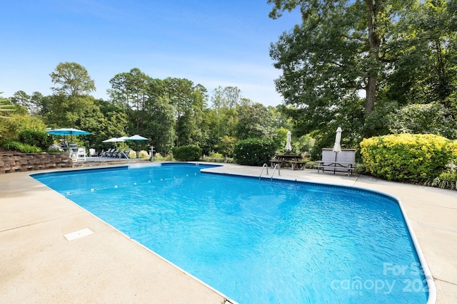 view of pool featuring a patio area