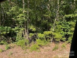 Listing photo 3 for 000 Wallace Springs Rd, Statesville NC 28677