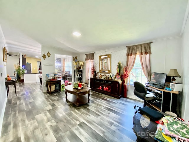 living room with wood-type flooring