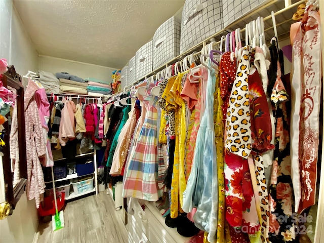 spacious closet featuring hardwood / wood-style floors