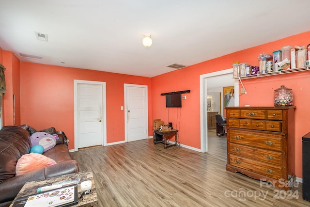 living room featuring wood-type flooring