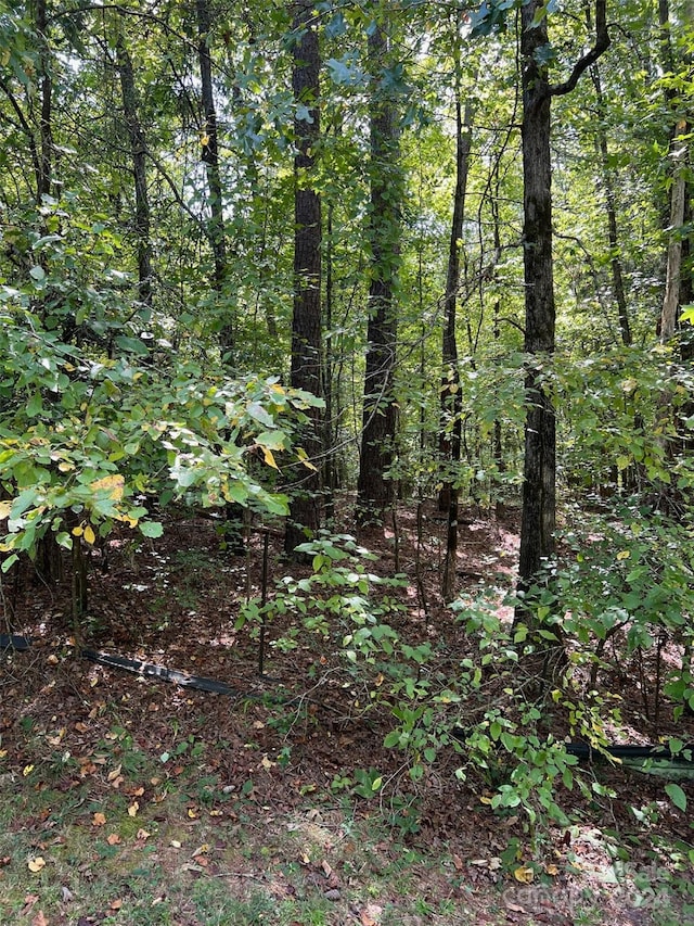 TBD Sanctuary Ln, Lilesville NC, 28091 land for sale