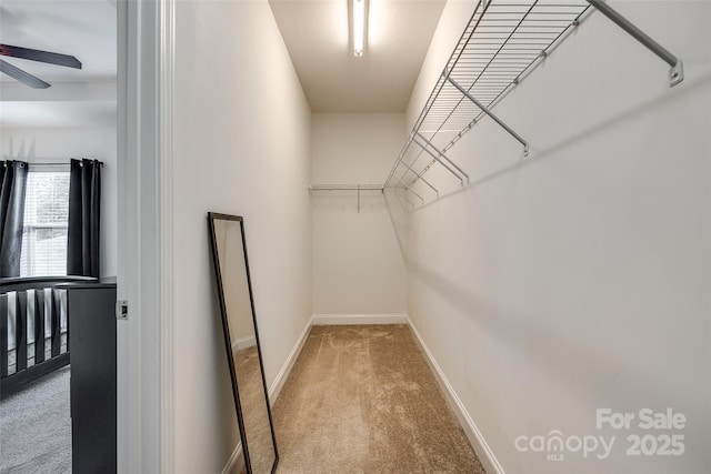 spacious closet featuring light colored carpet and ceiling fan