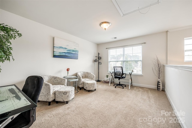 view of carpeted home office