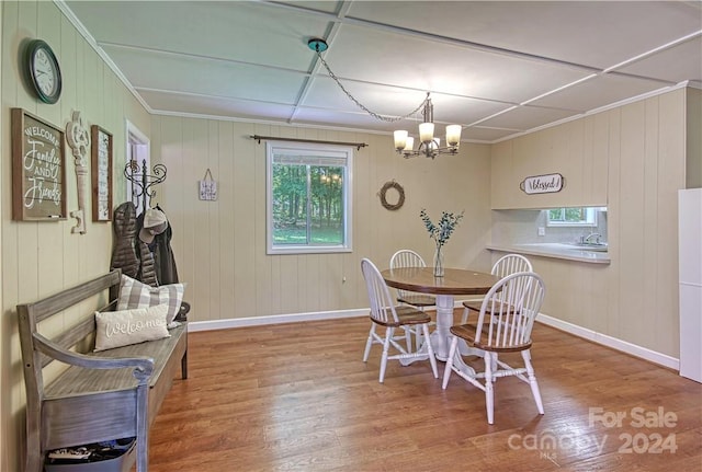 dining area with wood-type flooring and wooden walls