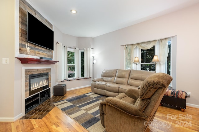 living room with a fireplace and hardwood / wood-style flooring