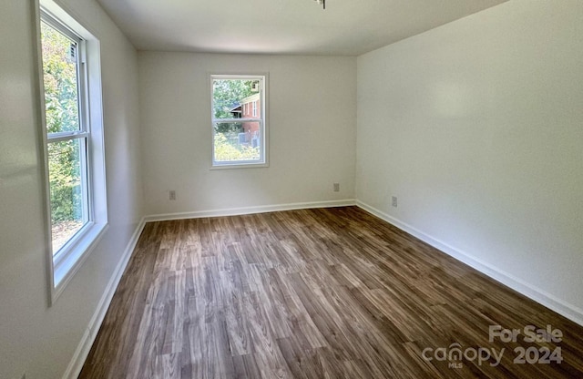 spare room featuring wood-type flooring