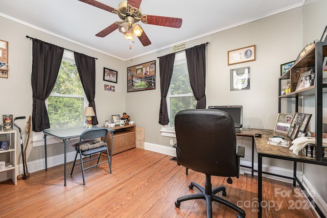 office featuring ornamental molding, ceiling fan, and light hardwood / wood-style flooring