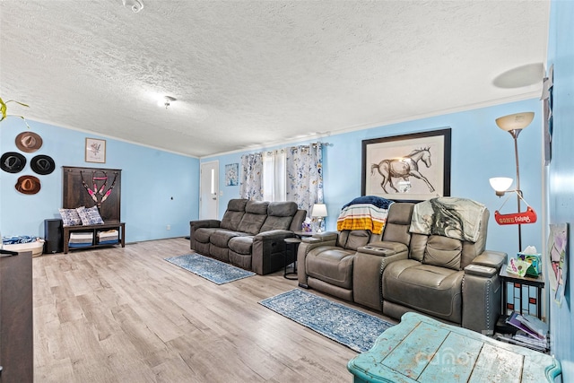 7686 Hickory Creek Dr, Denver, NC 28037 - living area featuring a textured ceiling, ornamental molding, and wood finished floors
