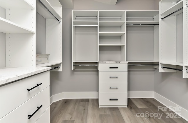 walk in closet featuring light wood-type flooring