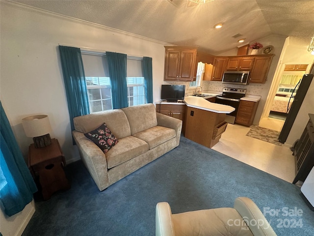 carpeted living room featuring ornamental molding, vaulted ceiling, a textured ceiling, and sink