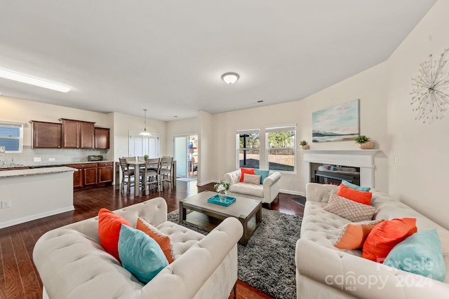 living room with dark hardwood / wood-style flooring