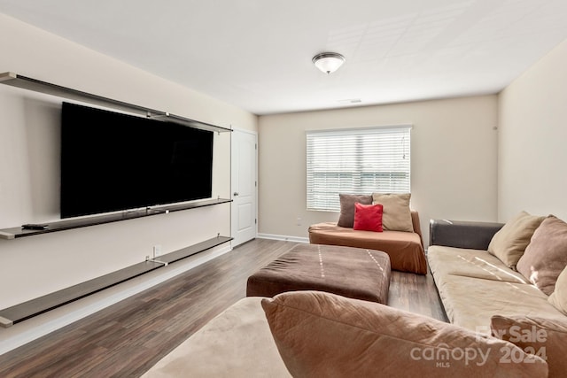 living room with wood-type flooring