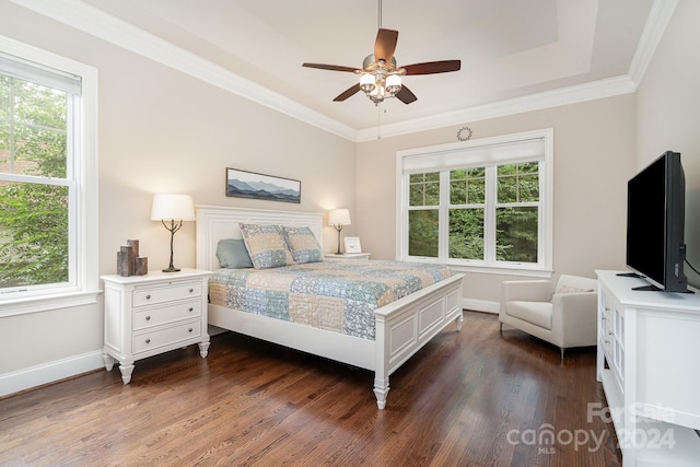 bedroom featuring ceiling fan, ornamental molding, a raised ceiling, and dark wood-type flooring