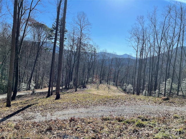 Listing photo 2 for 19 Parchment Ln, Sylva NC 28779