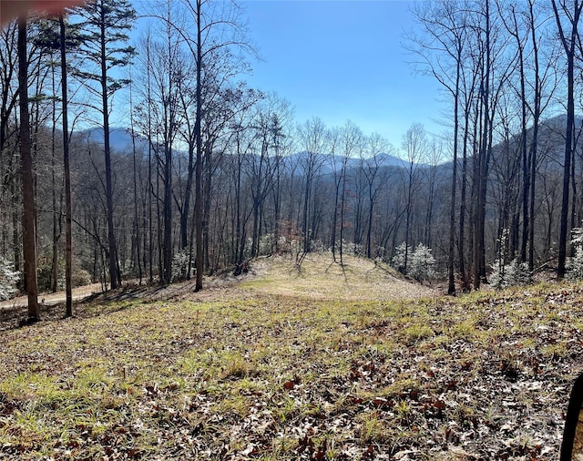 Listing photo 3 for 19 Parchment Ln, Sylva NC 28779