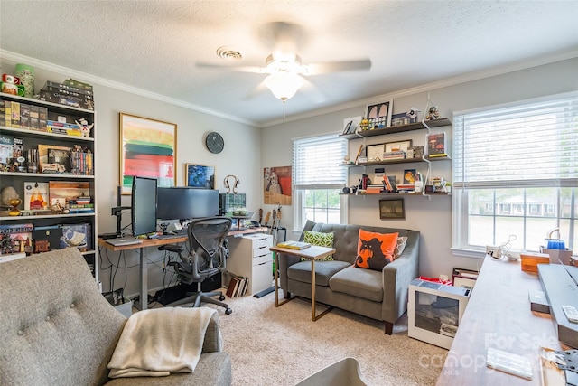 carpeted office featuring a wealth of natural light, ceiling fan, and crown molding