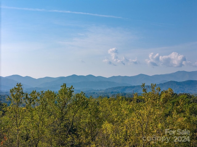 view of mountain feature