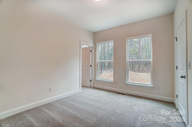 carpeted empty room featuring a wealth of natural light