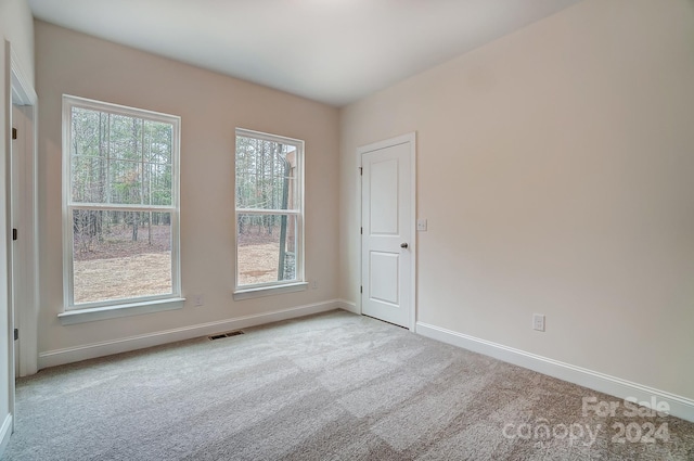 carpeted spare room with a wealth of natural light