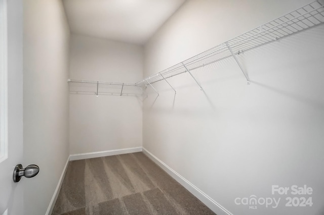 spacious closet featuring carpet flooring