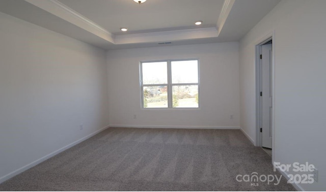 carpeted spare room featuring ornamental molding and a raised ceiling