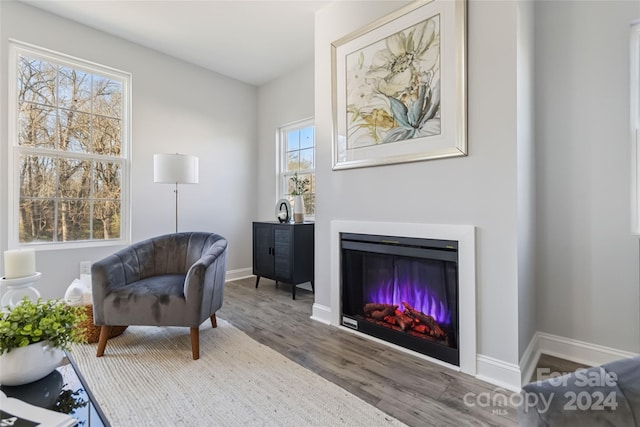 living area featuring wood-type flooring