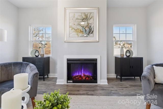 living room featuring hardwood / wood-style floors