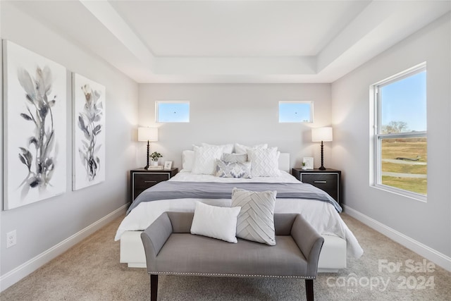 1038 Heath Helms Rd, Monroe, NC 28110 - bedroom with a raised ceiling, multiple windows, and light carpet