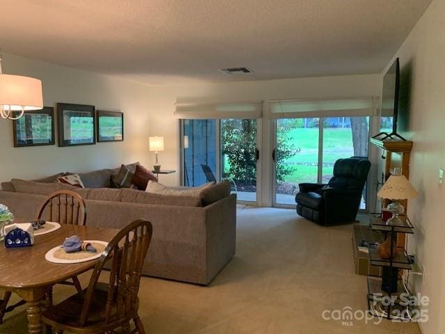 living room with light carpet