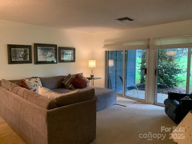 living room featuring light carpet