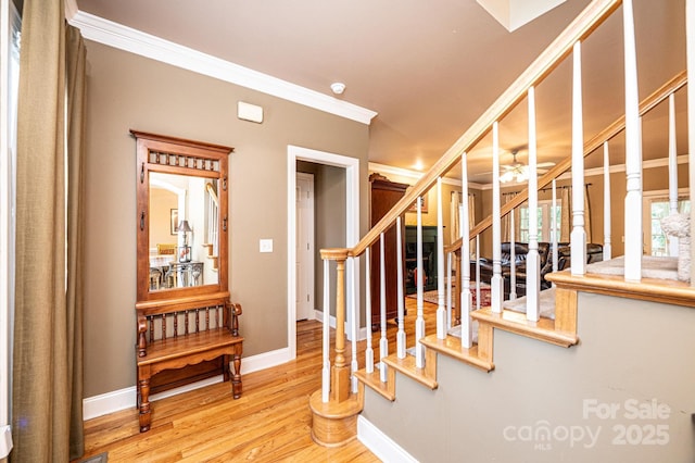 staircase featuring ceiling fan, crown molding, and hardwood / wood-style flooring