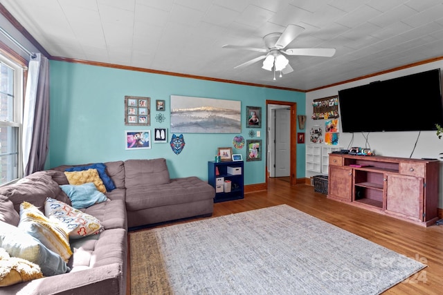 living room with ornamental molding, wood-type flooring, and ceiling fan