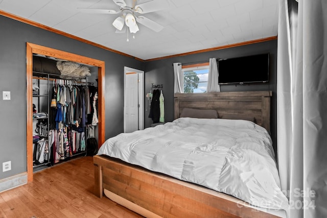 bedroom featuring ceiling fan, ornamental molding, a closet, and hardwood / wood-style floors