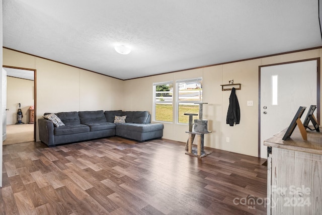 living room with a textured ceiling, ornamental molding, and dark hardwood / wood-style floors